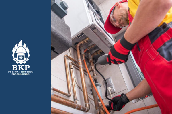 artikel biwan kontrol proteksindo 2